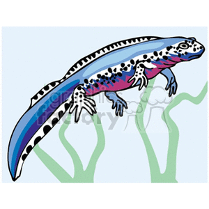 The image is a clipart depiction of a colorful amphibian that resembles a salamander swimming among aquatic plants. Its body is marked with a series of spots and it appears to have gills, indicating it may be an aquatic or marine species.