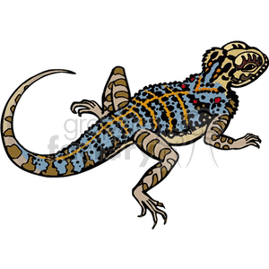 Large colorful lizard