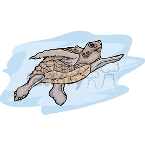 The clipart image depicts a sea turtle swimming underwater. The turtle is shown with its flippers extended, seemingly in motion through the water.
