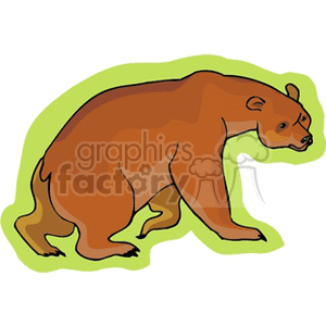 Large brown bear on all fours
