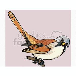 The image is a clipart illustration of a Chickadee, a small bird often recognized by its distinctive coloring and markings.