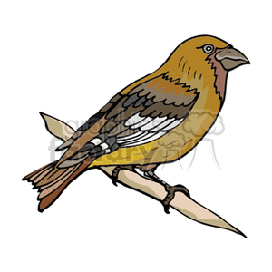 The clipart image depicts a bird with a yellowish-brown body, darker wings with visible feathers, and a pointed beak. It is perched on what seems to be a branch. The bird does not closely resemble a barn swallow or a finch but appears to be a stylized representation of a passerine bird.