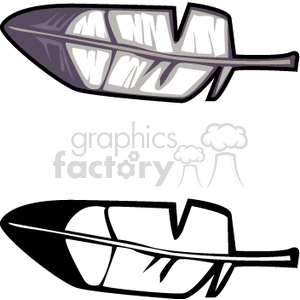 The clipart image depicts two stylized feathers. The top feather features shades of purple with white highlights, while the bottom feather is displayed in a monochrome black and white palette. Both feathers have visible details such as the central shaft, known as the rachis, and the vanes on either side.