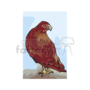 A colorful clipart image of a brown and red hawk perched on a rock with a light blue sky background.