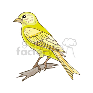 A colorful clipart illustration of a yellow bird perched on a small branch.
