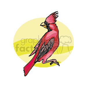 A colorful clipart image of a red cardinal bird with a yellow background.