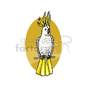 A clipart image of a white cockatoo with a yellow crest, perched on a branch against a yellow oval background.