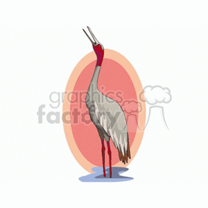 Clipart image of a crane standing in water, with an oval-shaped background in shades of red and peach.