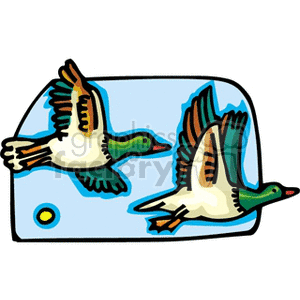 A clipart image of two ducks flying in front of a blue sky background.