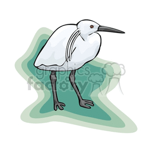 Illustration of a white heron standing with a stylized green and white background.