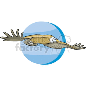 Vulture flying against a blue background