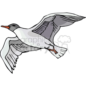 A clipart image of a seagull in flight with outstretched wings.