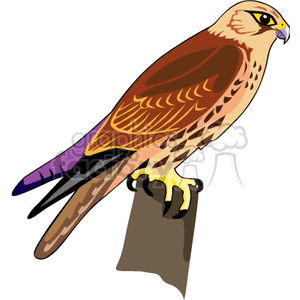 This is a clipart image of a perched falcon. The bird has brown and tan feathers with purple highlights on its tail and sharp yellow talons gripping a perch.
