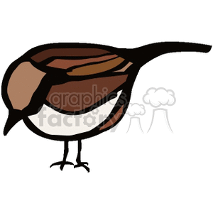 Clipart image of a stylized bird with a brown and white color scheme, featuring simple yet distinct lines.