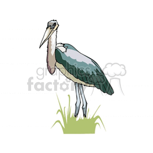 A clipart image of a large bird, likely a heron or stork, standing in grass. The bird has a long beak, gray-green feathers, and long legs.