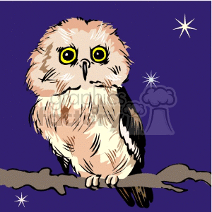A cute owl with large yellow eyes perched on a branch, illustrated against a starry night sky.