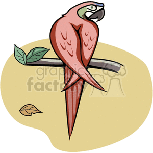 Clipart image of a red parrot perched on a branch with a leaf next to it and one fallen leaf on the ground.