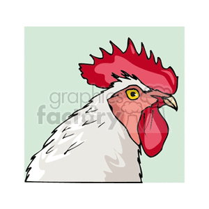 Clipart image depicting a detailed illustration of a rooster. The rooster has a prominent red comb and white feathers, with a bright yellow eye and red wattle. The background is in a light green shade.