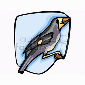 Clipart image of a black and yellow bird perched on a brown branch, with a blue background.