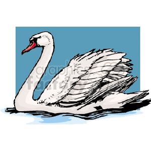 This clipart image features a white swan gliding on water with a blue background. The swan has a long neck, white feathers, and an orange beak.