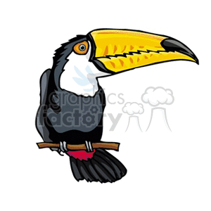 A vibrant clipart image of a toucan bird perched on a branch, featuring a large yellow beak and colorful feathers.