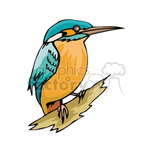 A colorful clipart image of a kingfisher bird with blue and orange feathers perched on a branch.