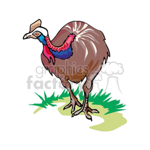 A colorful clipart illustration of a cassowary standing on grass.