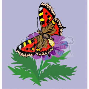 This clipart image features a colorful butterfly with red and yellow markings on its wings, perched atop green foliage. In the background, there appears to be a hint of a purple flower. The butterfly is displayed in a stylized, illustrative manner.