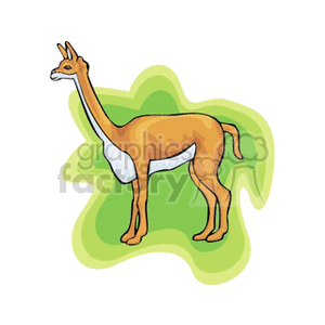 Cartoon Llama Illustration