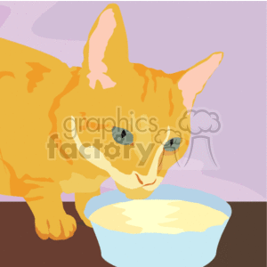 Orange cat eating from blue bowl
