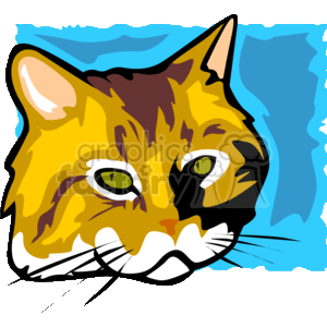 Close-up of orange cat against blue background