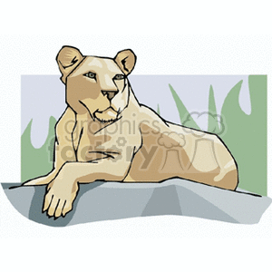 The image shows a stylized clipart of a large feline, likely intended to be a lioness, given its features and context. The animal is depicted lying on a flat surface, possibly a rock, with blades of grass in the background, suggesting a natural, possibly savannah-like habitat.