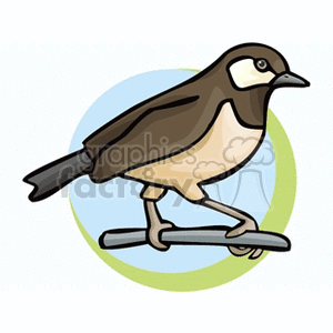 The image appears to be a stylized clipart illustration of a small bird, possibly resembling a wren or a sparrow, perched on a branch. The bird has a brown back, wings, and tail; a lighter, possibly cream-colored underbelly; and a distinctive facial pattern with what looks like a mask over its eyes.