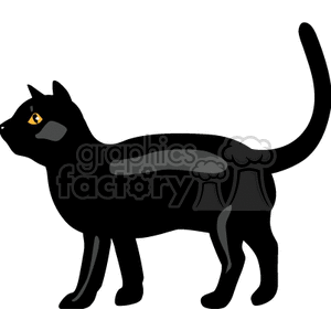 Black cat with yellow eyes standing on all fours