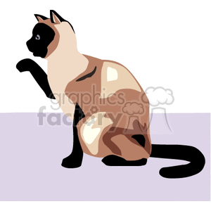 This clipart image features a stylized representation of a Siamese cat. The cat appears to be sitting, with its body turned sideways and its head looking back over its shoulder. It has characteristic large ears, a sharp contrast in fur color with darker points on its ears, face, paws, and tail, and a slender build typical of a Siamese cat.