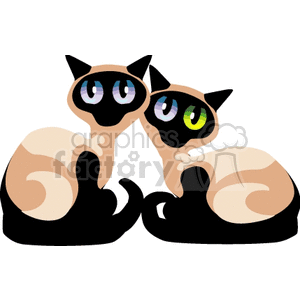 Mismatched-Eyed Siamese Cats