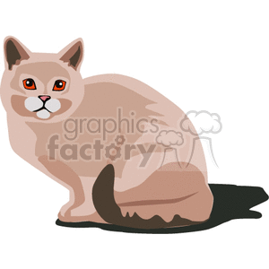 Sitting Beige Cat