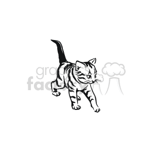 The clipart image shows a black and white kitten with stripes. It appears to be domesticated house cat, commonly kept as pets by humans.