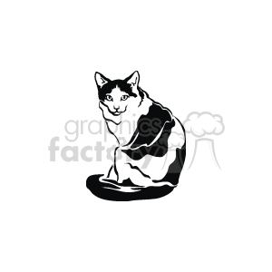   The image is a black-and-white line drawing of a cat. The style is simple and resembles clipart, suitable for various graphic uses. The cat is depicted sitting and looking forward with a focused gaze. The features are simplified, but the essence of a cat