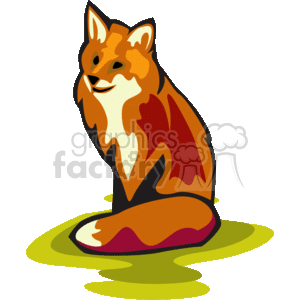 Fox sitting down on the grass