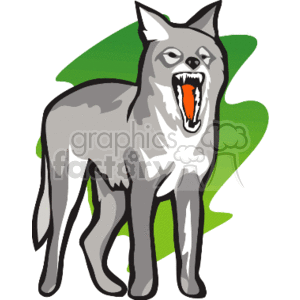 The clipart image shows a cartoonish grey wolf standing towards you , with its mouth open, as if howling or growling. It has big ears and sharp teeth
