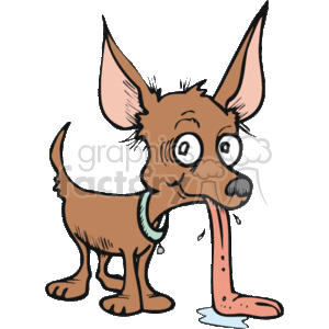 The image is a cartoon clipart of a small, brown dog that appears to be a caricature of a Chihuahua, characterized by its large ears and big, expressive eyes. The dog has a notably long, pink tongue hanging out, which is drooling onto the ground. It's wearing a collar, possibly indicating that it is a pet. The style is humorous and exaggerated, typical of lighthearted illustrations meant to evoke a fun and playful feel.