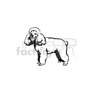   The image appears to be a simple black and white clipart of a poodle dog. The dog is standing, and its stance suggests that it could be a medium to large-sized breed. The outline style of the clipart provides a clear depiction of the dog