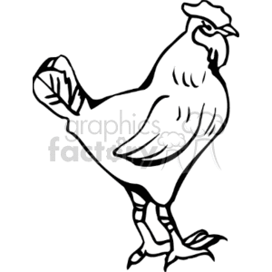 The clipart image features a rooster. The rooster is drawn in an outline style, suitable for coloring or graphic design purposes.