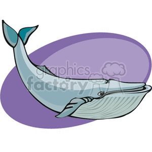 The image shows a stylized illustration of a whale, which appears to be a cartoon version of a large cetacean, possibly meant to represent a blue whale or a similar species given its long body and characteristic underjaw. The whale is depicted in hues of light blue and grey with a white underbelly, and it has a friendly facial expression. It's set against a simple purple and white background.