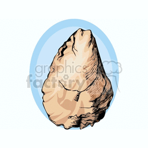 The image features a single snail shell with a detailed texture. It is centered against a blue, circular background.