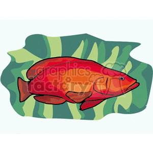 This clipart image features a vibrant red tropical fish with fins and gills, depicted in a stylized manner with some shading to indicate volume. The fish is set against a background suggesting aquatic vegetation, which might be an abstract representation of seaweed or coral.