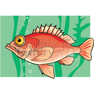 This is a clipart image of a stylized fish swimming underwater. There are bubbles and aquatic plants in the background, suggesting the fish's underwater habitat.
Concise 