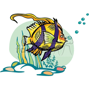 yellow and purple fish