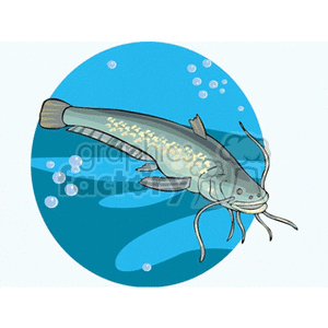 This clipart image depicts a cartoon illustration of a catfish swimming underwater. You can see bubbles around it, indicating its underwater environment. The catfish is characterized by its whisker-like barbels near its mouth.